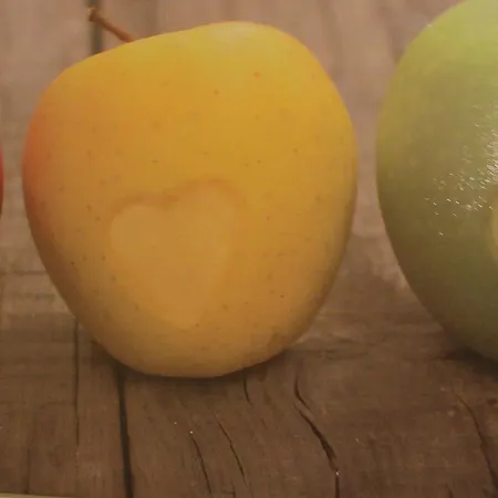 Immenstaad Apartment